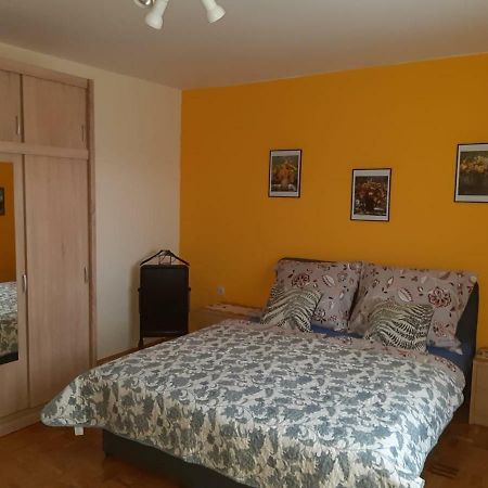 شقة بتوي  في Apartma Reich المظهر الخارجي الصورة